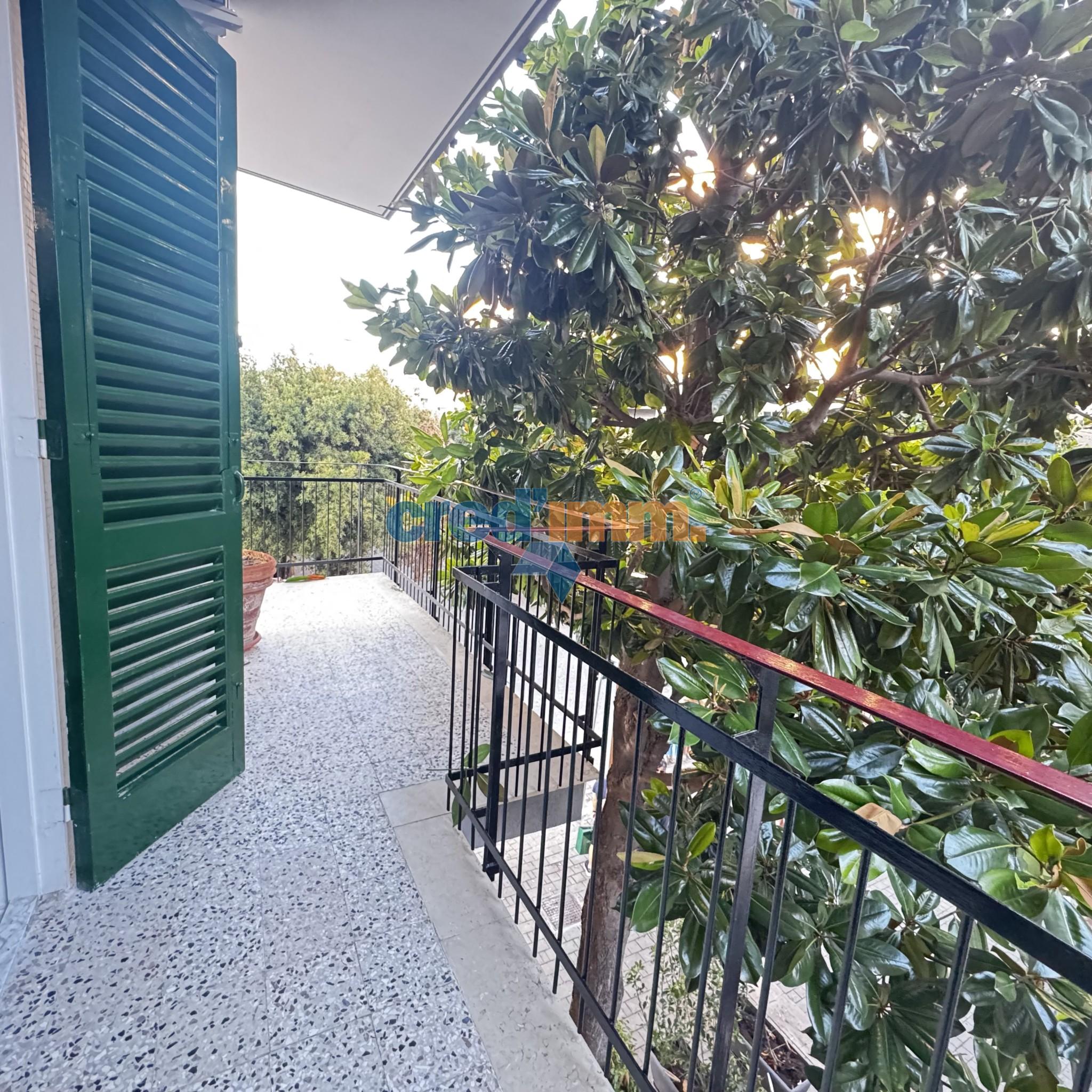 bisceglie centralissimo bivani in locazione_3701751985366.jpg