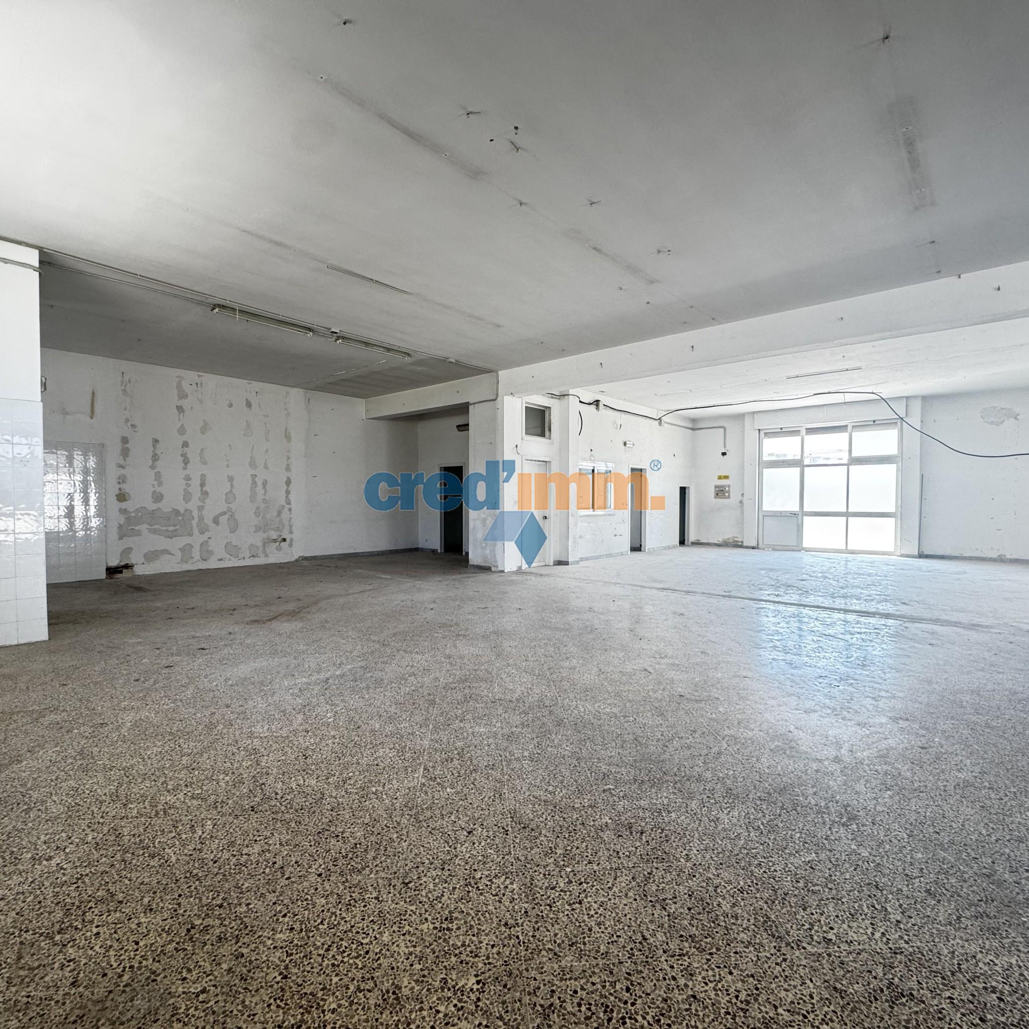 bisceglie opificio in locazione_3721752321814.jpg