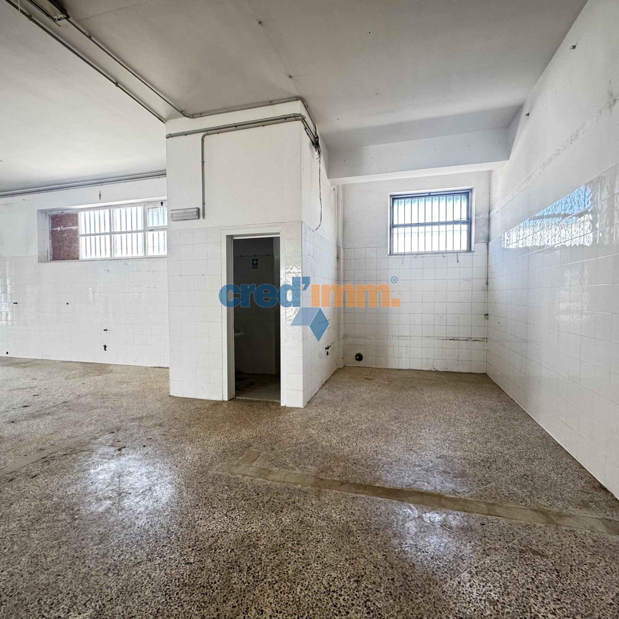 bisceglie opificio in locazione_3721752322870.jpg