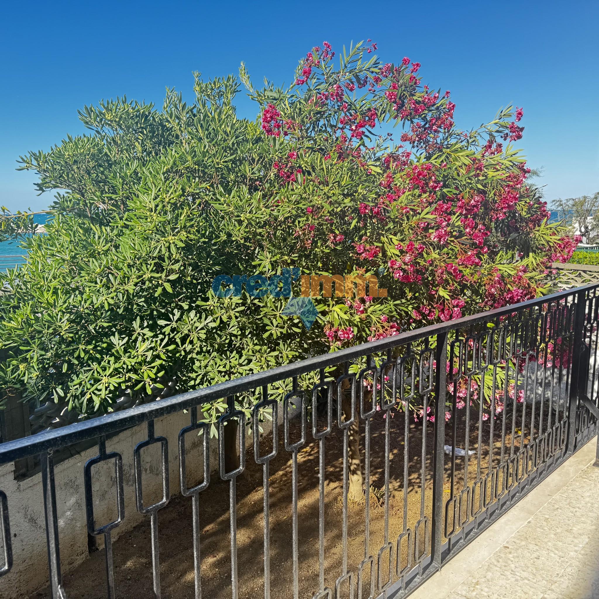 kjn klmò m_3791757166464.jpg